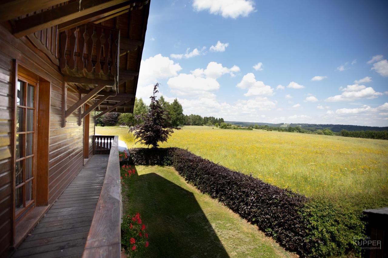 Le Gagnage 31 Pers- Malmedy, Rustique, Vue, Wellness Villa Buitenkant foto