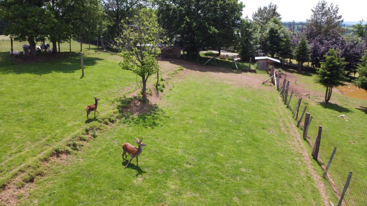 Le Gagnage 31 Pers- Malmedy, Rustique, Vue, Wellness Villa Buitenkant foto