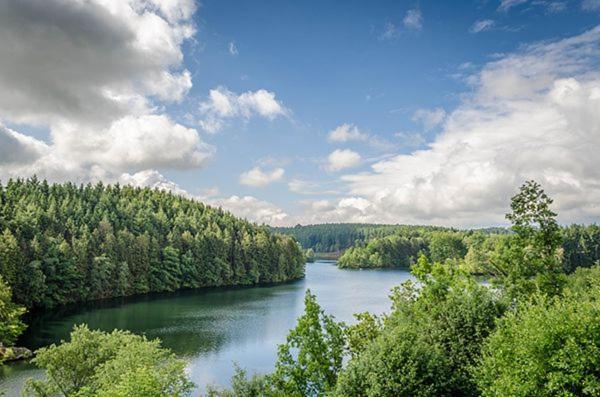 Le Gagnage 31 Pers- Malmedy, Rustique, Vue, Wellness Villa Buitenkant foto